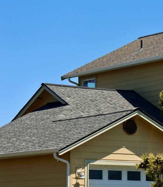 Best Roof Maintenance and Cleaning  in Norton, VA